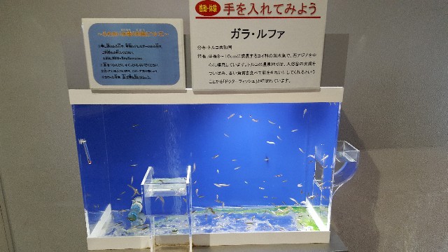 f:id:hinatanoyou:20190322222922j:image f:id:hinatanoyou:20190322222922j:image
