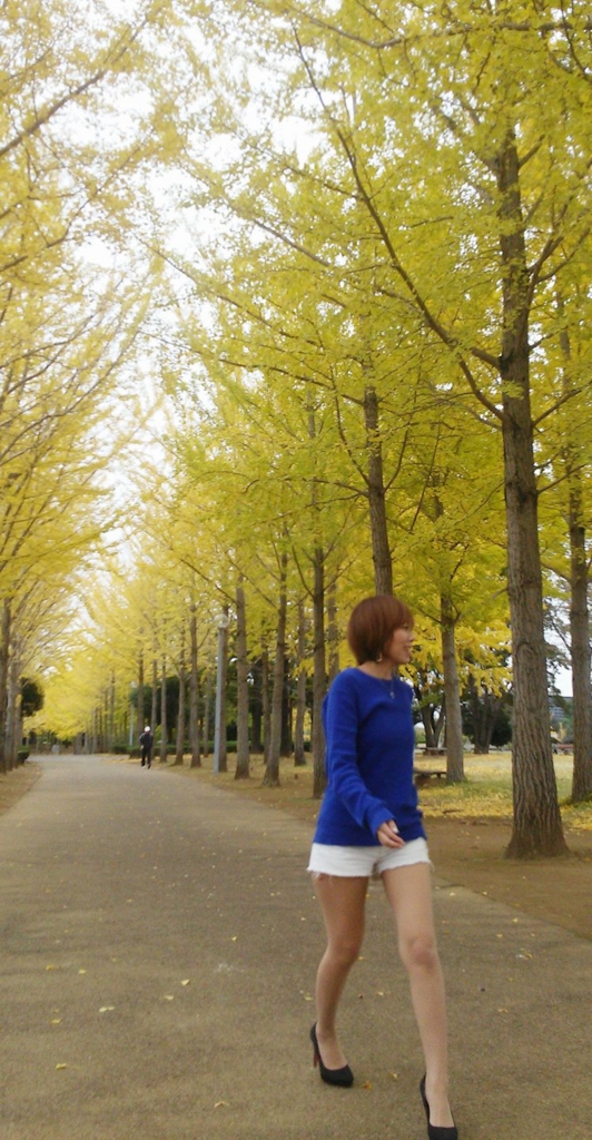 f:id:hinatao-wife:20161112173922j:plain f:id:hinatao-wife:20161112173922j:plain