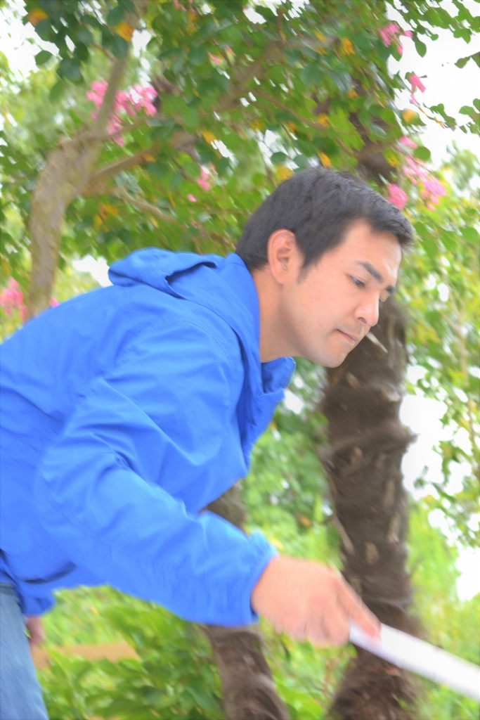 f:id:hinatao-wife:20180905115120j:plain f:id:hinatao-wife:20180905115120j:plain