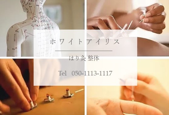 f:id:hinatao-wife:20181210211712j:plain f:id:hinatao-wife:20181210211712j:plain