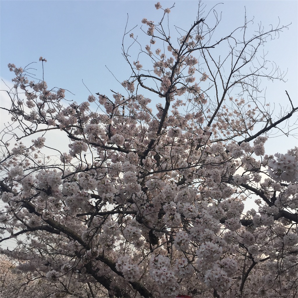 f:id:hinatiger:20170410172647j:image