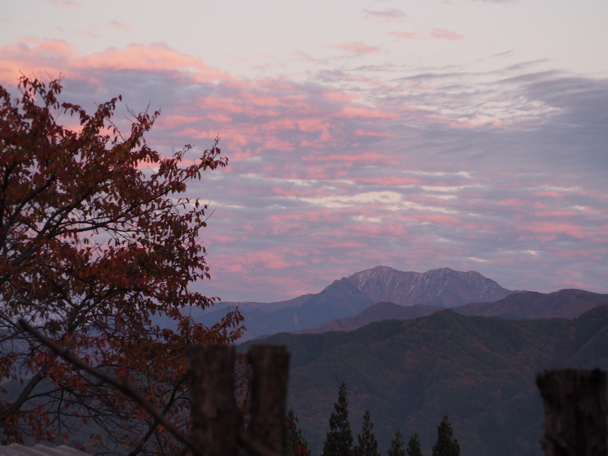 f:id:hinemosk:20201106210147j:plain