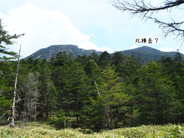 f:id:hinemosk:20210614182813j:plain