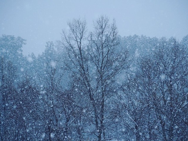 f:id:hinemosk:20240225210536j:image