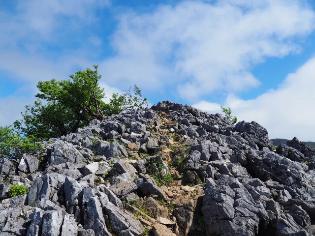 f:id:hinemosk:20240515222803j:image