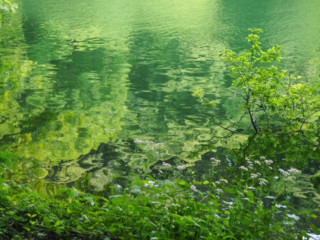 f:id:hinemosk:20240515222931j:image