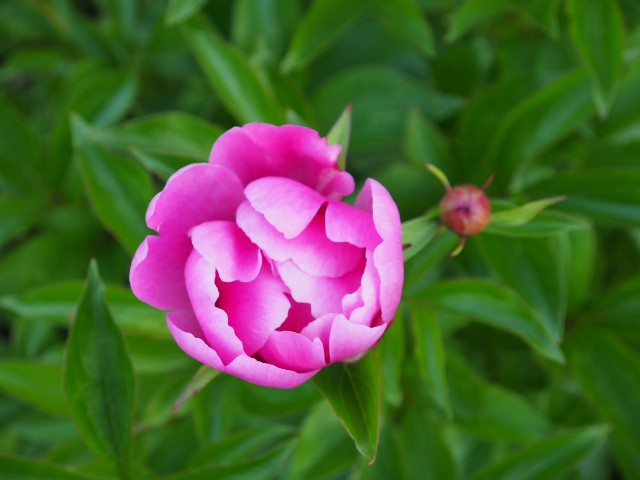 f:id:hinemosk:20240520233801j:image