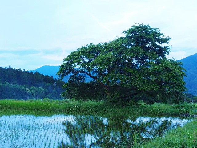 f:id:hinemosk:20240610225038j:image