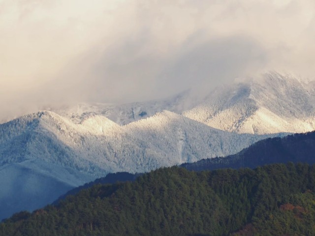 f:id:hinemosk:20241210223451j:image