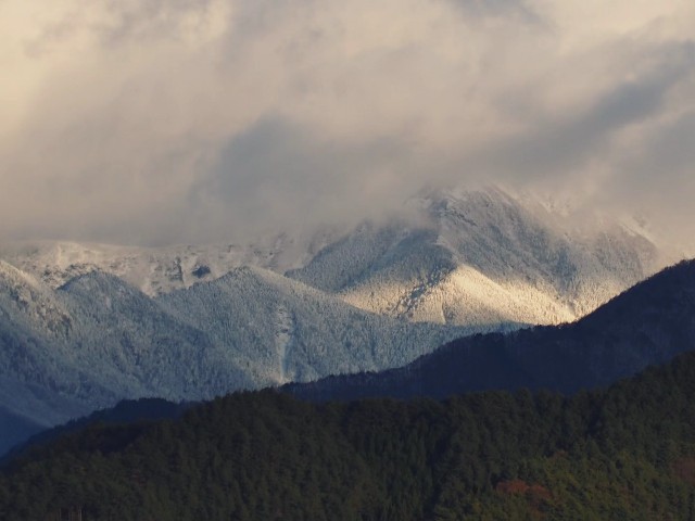 f:id:hinemosk:20241210223457j:image