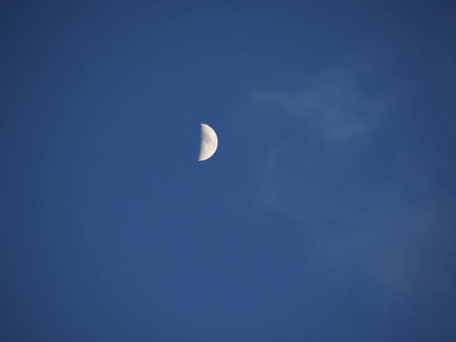 f:id:hinemosk:20241210223511j:image