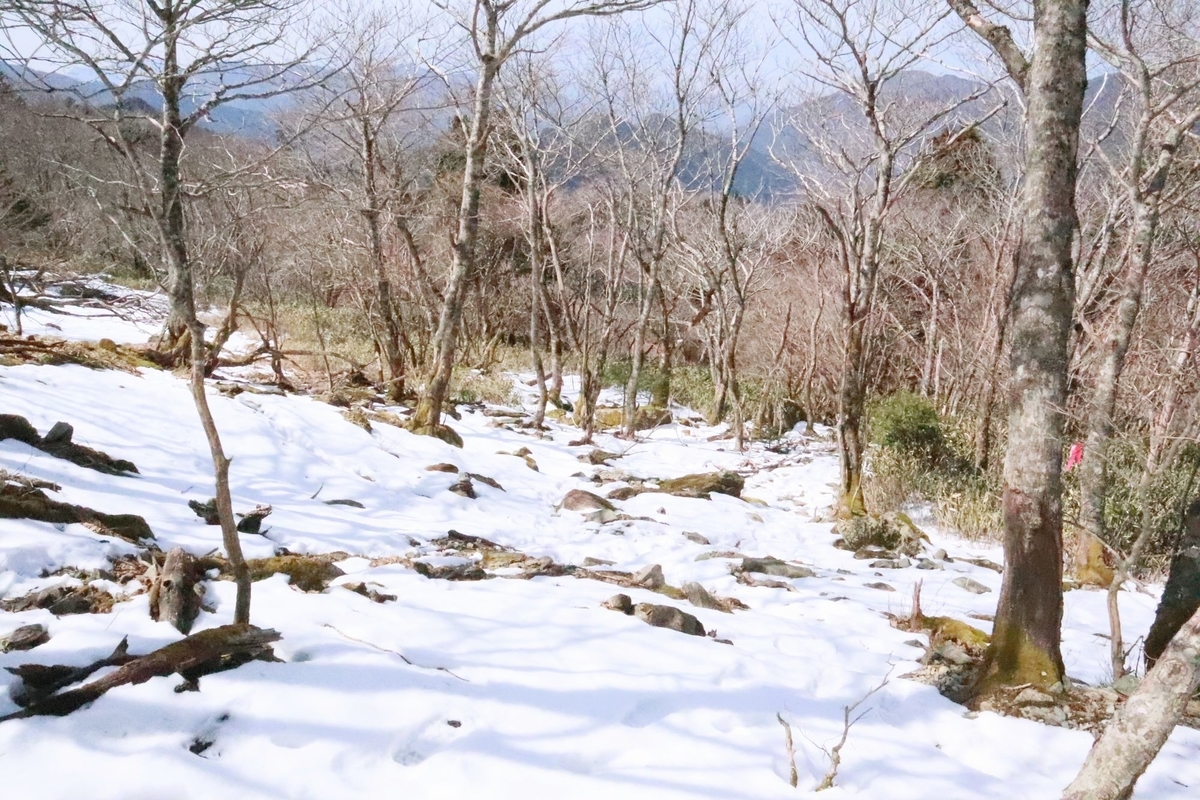 f:id:hinemosu_yamajii:20200401150102j:plain f:id:hinemosu_yamajii:20200401150102j:plain