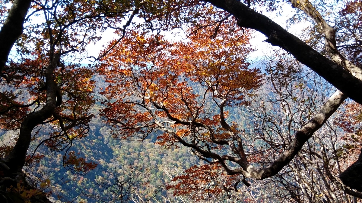 f:id:hinemosu_yamajii:20201027215345j:plain f:id:hinemosu_yamajii:20201027215345j:plain