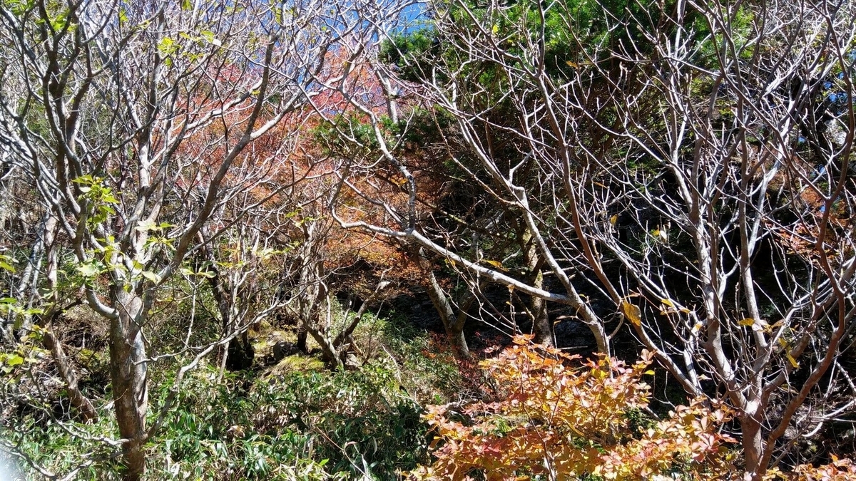 f:id:hinemosu_yamajii:20201027221357j:plain f:id:hinemosu_yamajii:20201027221357j:plain