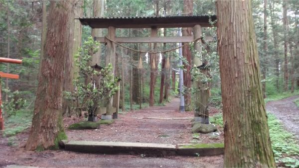 f:id:hineriman:20190712121206j:plain