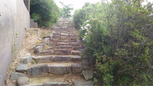 f:id:hineriman:20190722100212j:plain