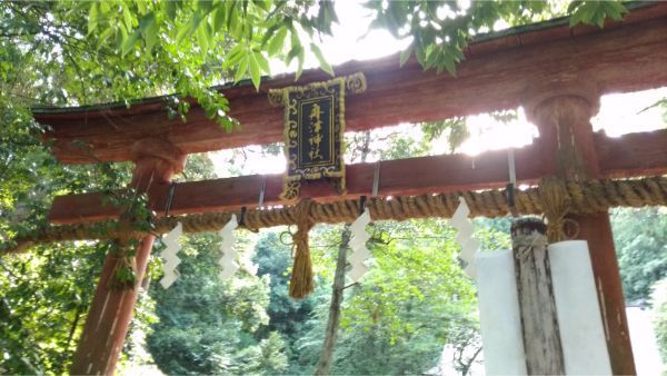 f:id:hineriman:20190905100618j:plain