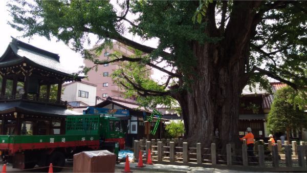 f:id:hineriman:20190911100455j:plain f:id:hineriman:20190911100455j:plain