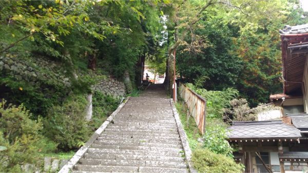 f:id:hineriman:20191031121852j:plain