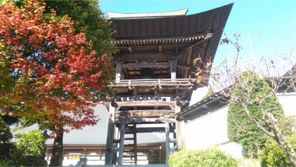 f:id:hineriman:20191114100810j:plain