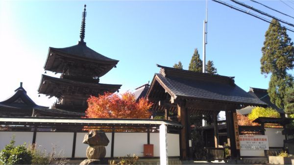 f:id:hineriman:20191114101036j:plain