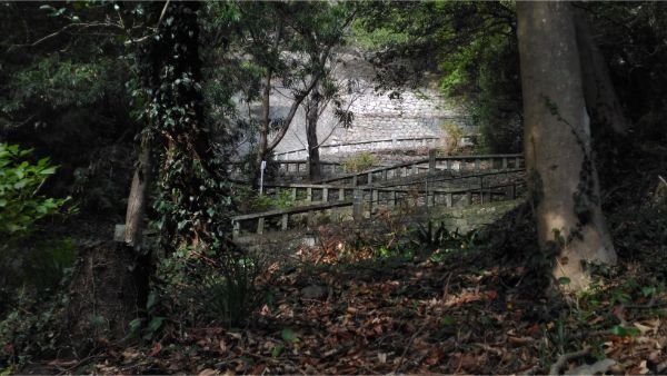 石段を見上げた図