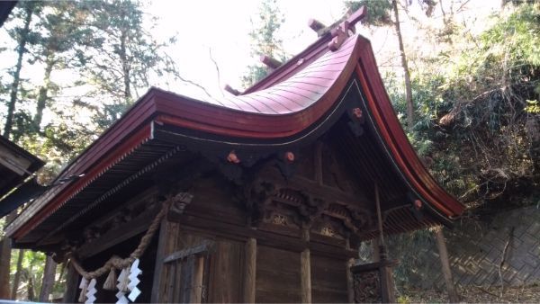 福地八幡神社(北下條)本殿の右正面