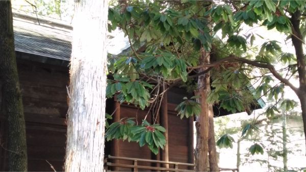 四柱神社の本殿