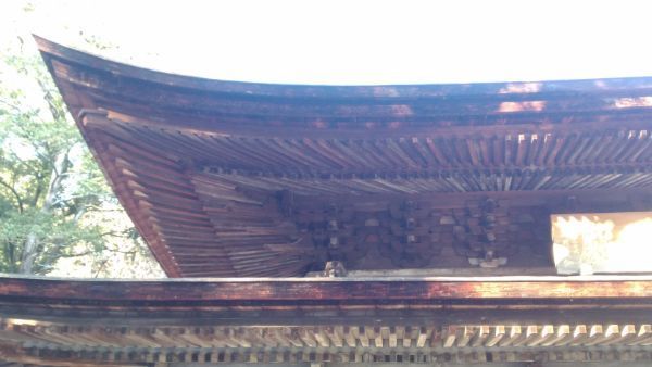 瀬戸市】定光寺 ~前編(本堂)~ - 甲信寺社宝鑑