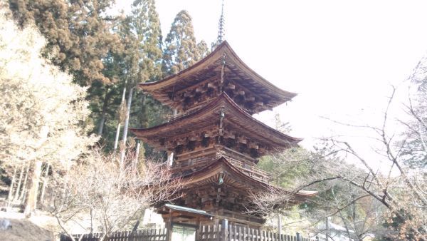 新海三社神社の三重塔