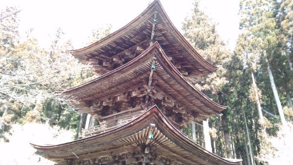 三重塔の見上げた図
