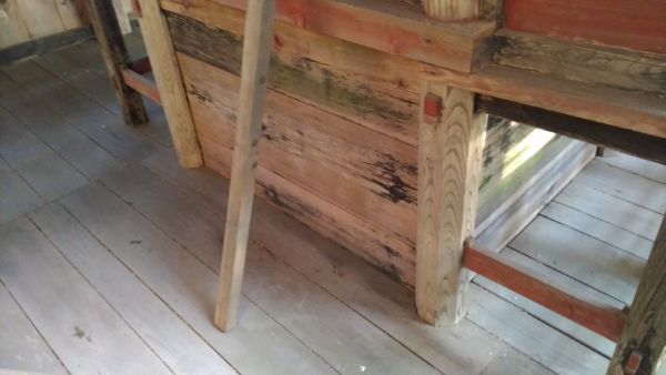 日吉神社本殿の背面床下