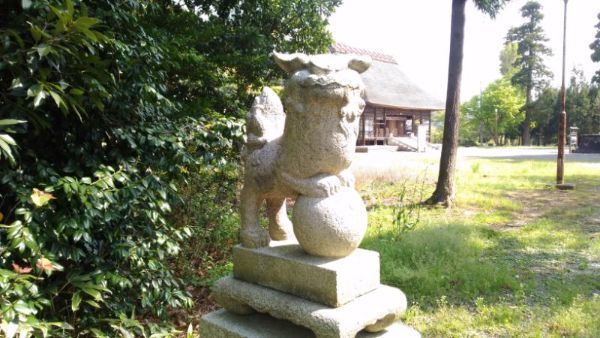 天津神社の狛犬