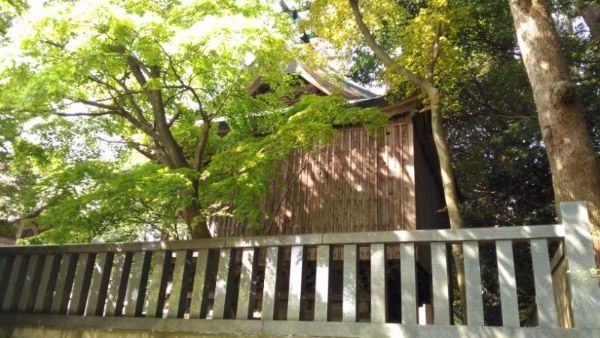 天津神社本殿側面