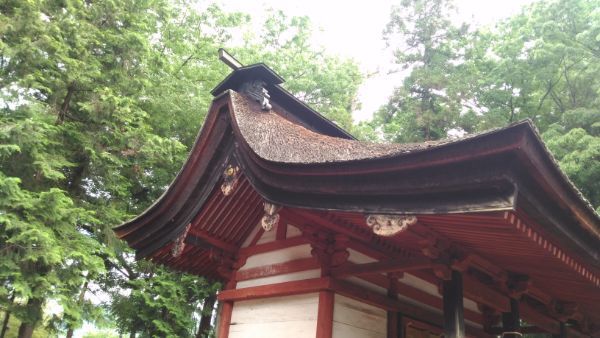 若宮八幡神社本殿の屋根