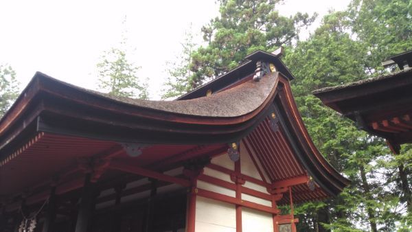 窪八幡神社本殿の側面