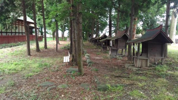 大井俣窪八幡神社の境内裏