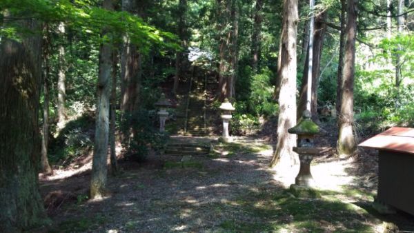 五十君神社の社叢