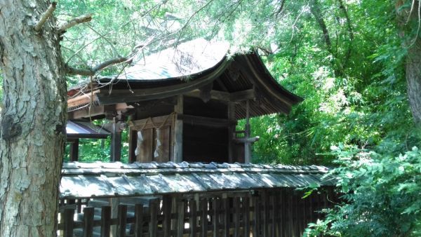 塩野神社本殿