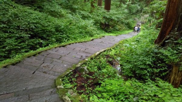 出羽三山神社参道