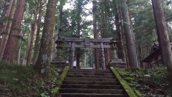 浪合神社参道