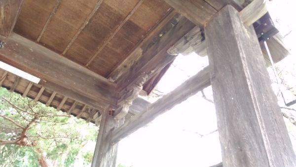 f:id:hineriman:20201102122052j:plain f:id:hineriman:20201102122052j:plain