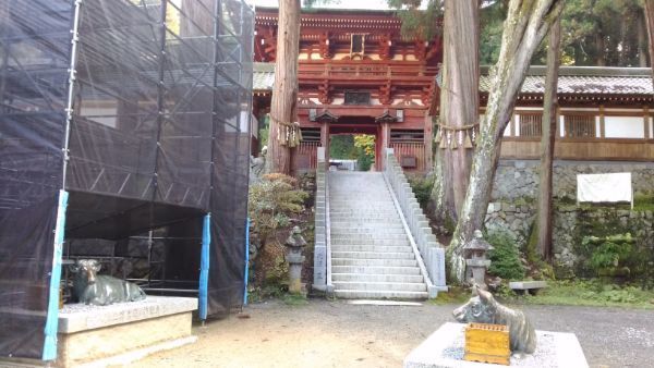 f:id:hineriman:20201112121540j:plain f:id:hineriman:20201112121540j:plain