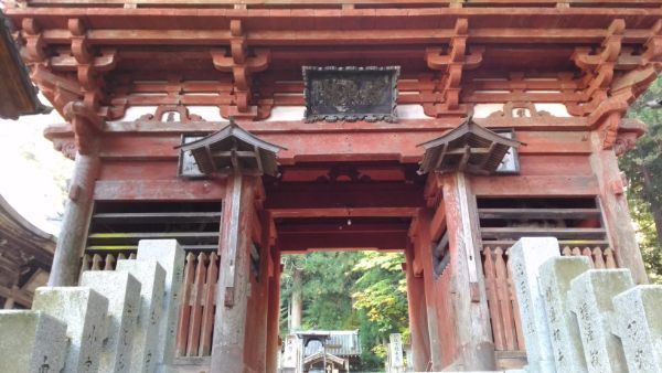 f:id:hineriman:20201112121610j:plain f:id:hineriman:20201112121610j:plain