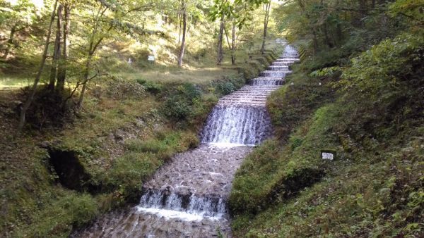 f:id:hineriman:20201112122222j:plain f:id:hineriman:20201112122222j:plain