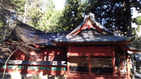 f:id:hineriman:20210110124514j:plain