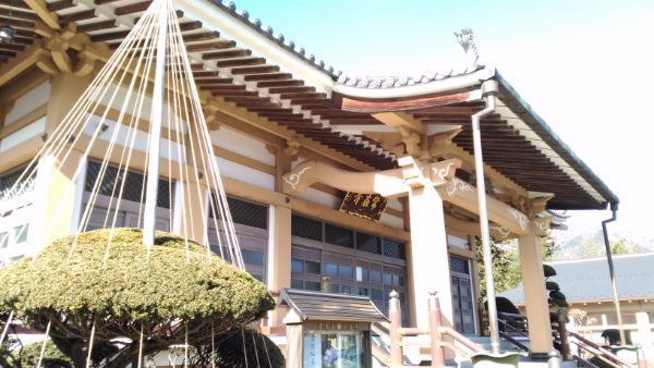 f:id:hineriman:20210110134033j:plain