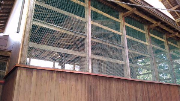 f:id:hineriman:20210110134205j:plain