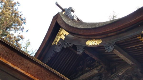 f:id:hineriman:20210218122646j:plain