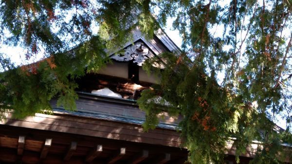 f:id:hineriman:20210226122914j:plain